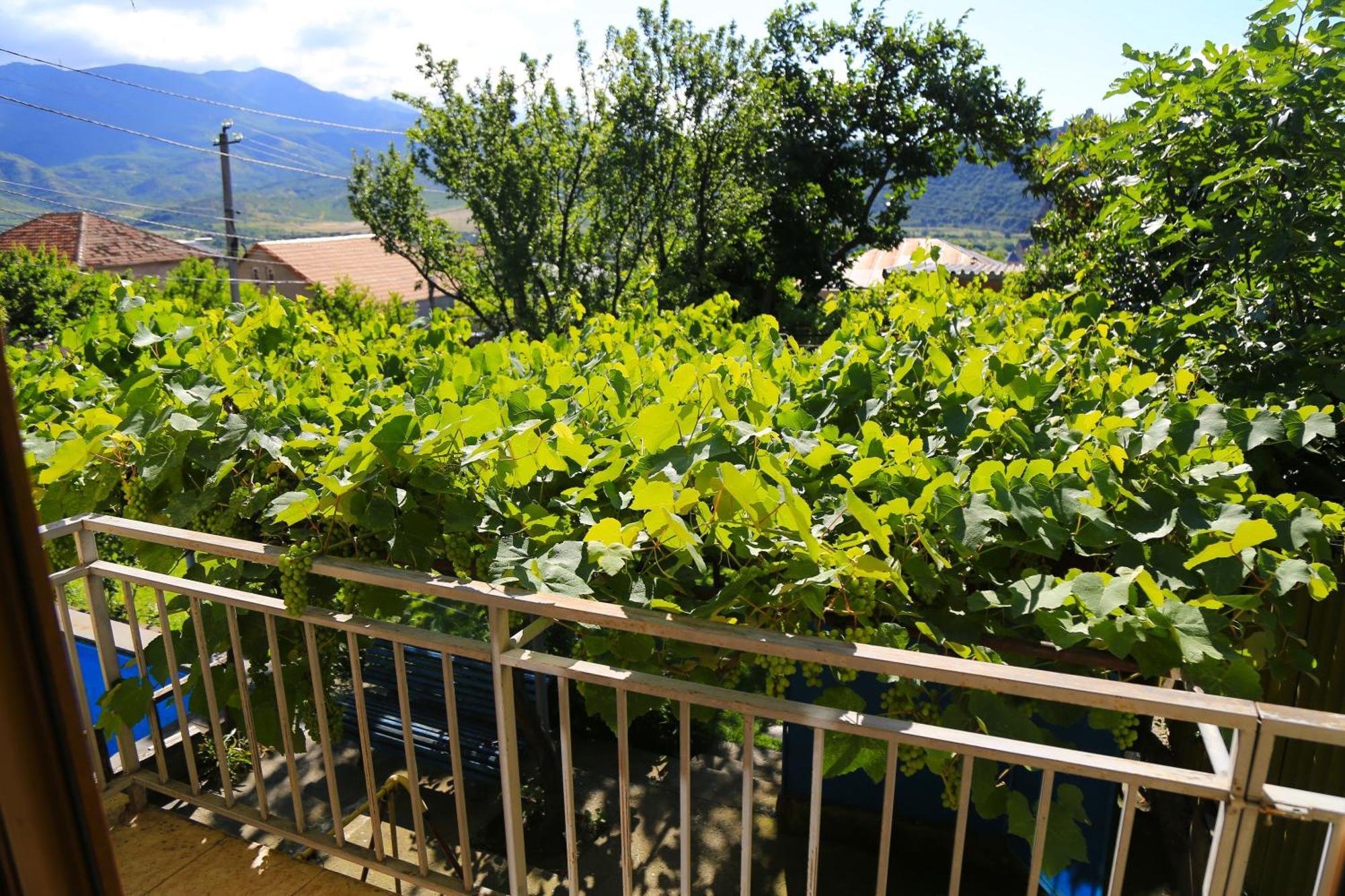 Guest House Green Veranda Mtsʼkhetʼa Exterior foto
