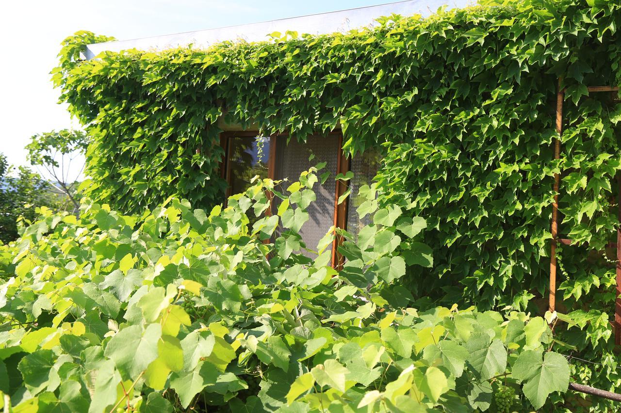 Guest House Green Veranda Mtsʼkhetʼa Exterior foto